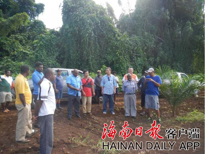 我院油棕技术走进瓦努阿图　12年实现从无到有再到产业化发展